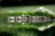 HG7J0347 Tranquilidad