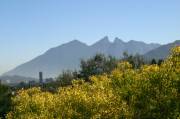 IMG_1676 Desde la ventana