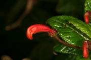 IMG_5228 La nobleza