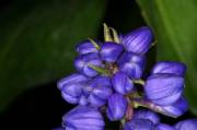 IMG_5312 De cuaresma