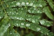 CRW_4456